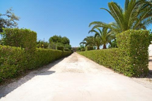 Villa Marga - Housity