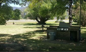 a large tree in a grassy field , with a barbecue grill set up under the shade of a tree at Mount Beauty Motor Inn