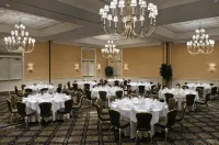 Hilton Greenville
