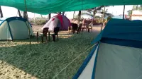 Athaang Beach Resort - Beach
