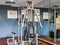 Comfort Suites Tuscaloosa Near University - palestra