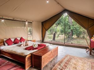 Hammerkop Migration Camp