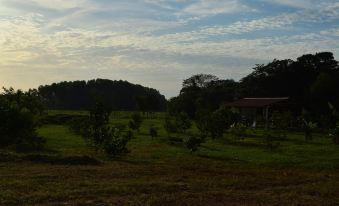 Hotel Parador El Guafal