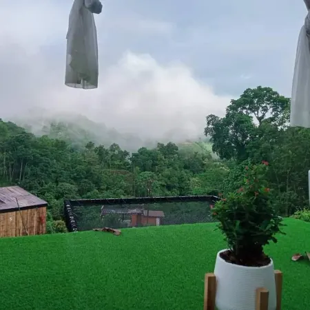 Valley Homestay
