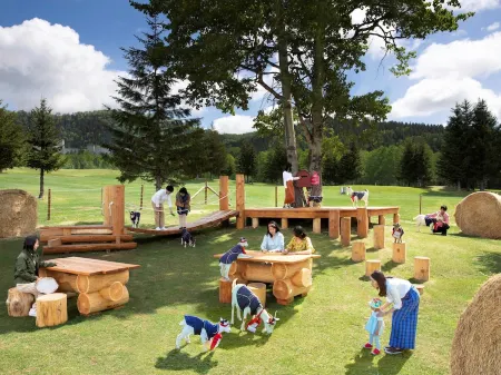 Hoshino Resorts Tomamu the Tower Отели в г. Симукаппу