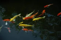 The Secret Garden Maesot Hotels in Mae Sot