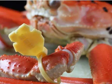 Kanetomo Отели в г. Этидзен