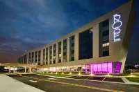 The Rose Hotel Chicago O’Hare, Tapestry Collection by Hilton - Pet friendly