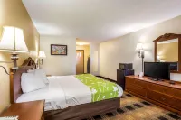 Econo Lodge Inn & Suites Fairview Heights St Louis Hotels in Fairview Heights