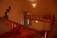 Mozo- Tree House Hostel