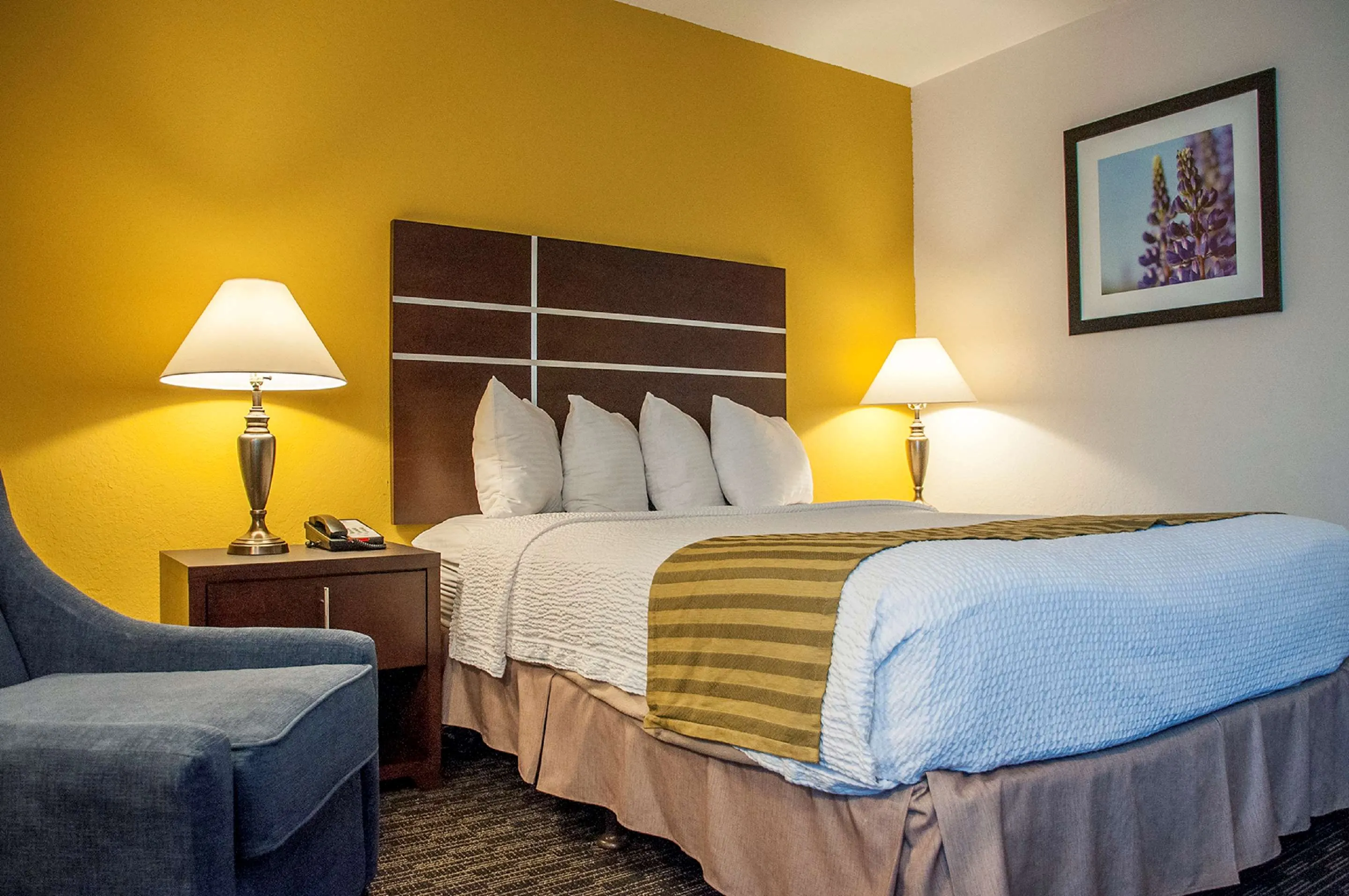 Best Western Village Inn Rooms Photos