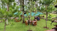 Cemoro Jati Glamping and Resort Lido - breakfast