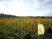 Le Clos des Belvals Hotels in Vertus