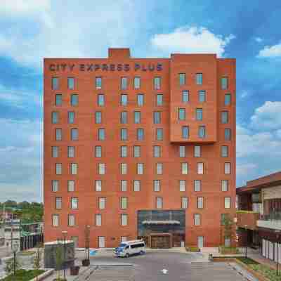 City Express Plus by Marriott Tampico Hotel Exterior