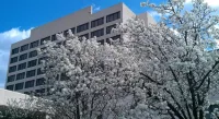 Capitol Plaza Hotel Jefferson City