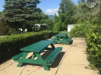 Briarcliff Motel Hotels in Conway