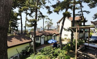 Modni Pension