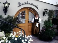Hotel Donaublick