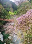 Iya Kankou Ryokan