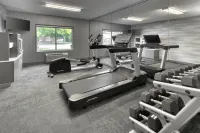 Fairfield Inn & Suites Frankenmuth - Gym