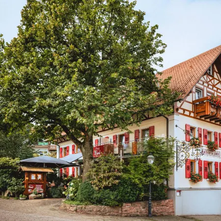 Landgasthaus Zur Linde, Neusatz