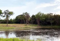 The Arrowhead Tipi Resort - Morning Star - Nomadic Tipis on Lake Tawakoni