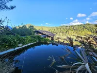 Country house (full rental) Finca Josentonio for 4 people