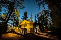 The Den- Forest Cabin Retreat - Hytter