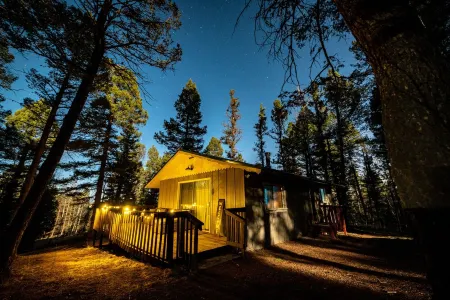 Cozy Winter Cabin! On 1 Acre w Wood Burning Fireplace and Dark Skies!
