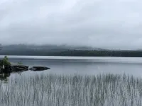 1 Bedroom Updated camp on Secluded Holland Pond