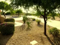 Quiet Relaxing Desert Oasis ...close to what ever action you may be looking for.