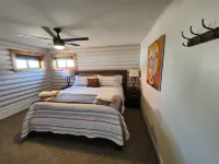 Mid Century Gem! Close to campus, downtown and bus stop. Clean and comfortable. - balcony