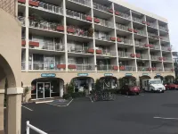 Ocean View!!! Newly Remodeled!🏝Steps to the Beach! 💗 Kihei Island Surf