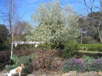 YERING PARK COTTAGE - 3 bedroom home  in the heart of the Yarra Valley Hotels in Coldstream