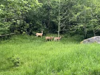 Highland Hideaway at the RMR Farmstead with Hot Tub