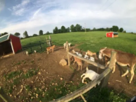 Peace and quiet of country living within minutes of city amenities.