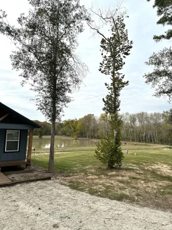 Brand new waterfront cabin "C2"