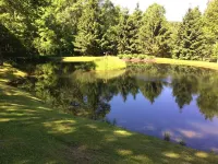 A perfect, quiet baseball rental in the woods near Cooperstown, NY