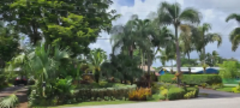 Pet Friendly Tropical Studio with Private Kitchen and Bath