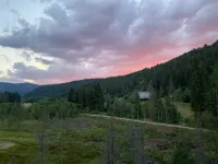 ※BlackNCozy: Feldberg View, Boxspring Bed, 104sqm, Modern Black Forest※ Hotels in Feldberg