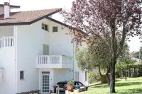 ROME - Spacious apartment in villa with pool and barbecue, 1km from the sea Hotels in Ortona