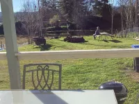 Best Fishing  in Clearlake Oaks at the Bass house. . . By the water. 萊克縣酒店