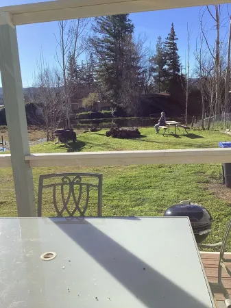 Best Fishing  in Clearlake Oaks at the Bass house. . . By the water.