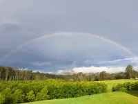 Bellbowra Farmstay - Pet Friendly - Nambucca Valley