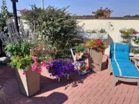 LOVELY SINGLE-STOREY GITE WITH SWIMMING POOL 15 KM FROM EUROPA PARK Hotels in Bindernheim
