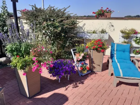 LOVELY SINGLE-STOREY GITE WITH SWIMMING POOL 15 KM FROM EUROPA PARK