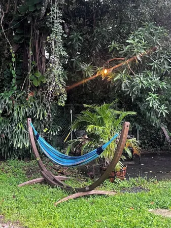 Beautiful Villa with Pool in awesome Miami!