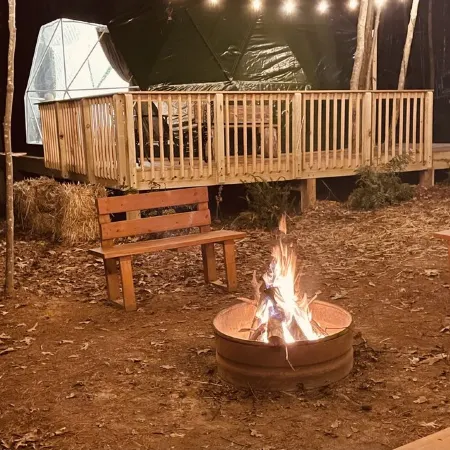Charlotte Glamping Dome- Fawn and Fern Hideaway Отели в г. Стил Крик