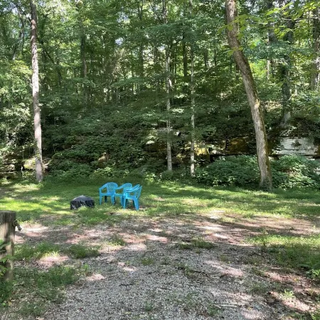 Papa Bears Cozy Cabin at Up The Creek
