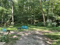Papa Bears Cozy Cabin at Up The Creek